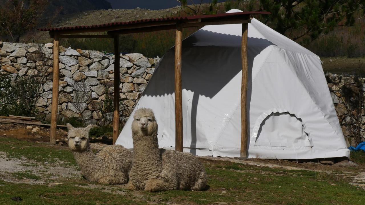 Domos Cordillera Blanca Villa Huaraz  Eksteriør billede