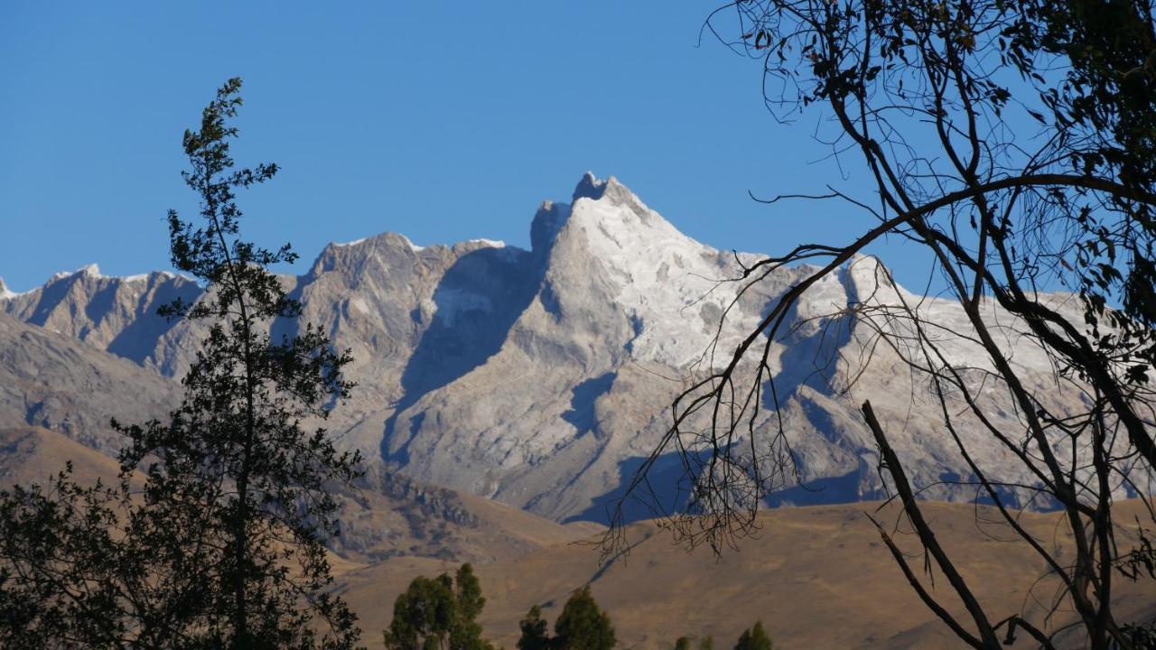 Domos Cordillera Blanca Villa Huaraz  Eksteriør billede