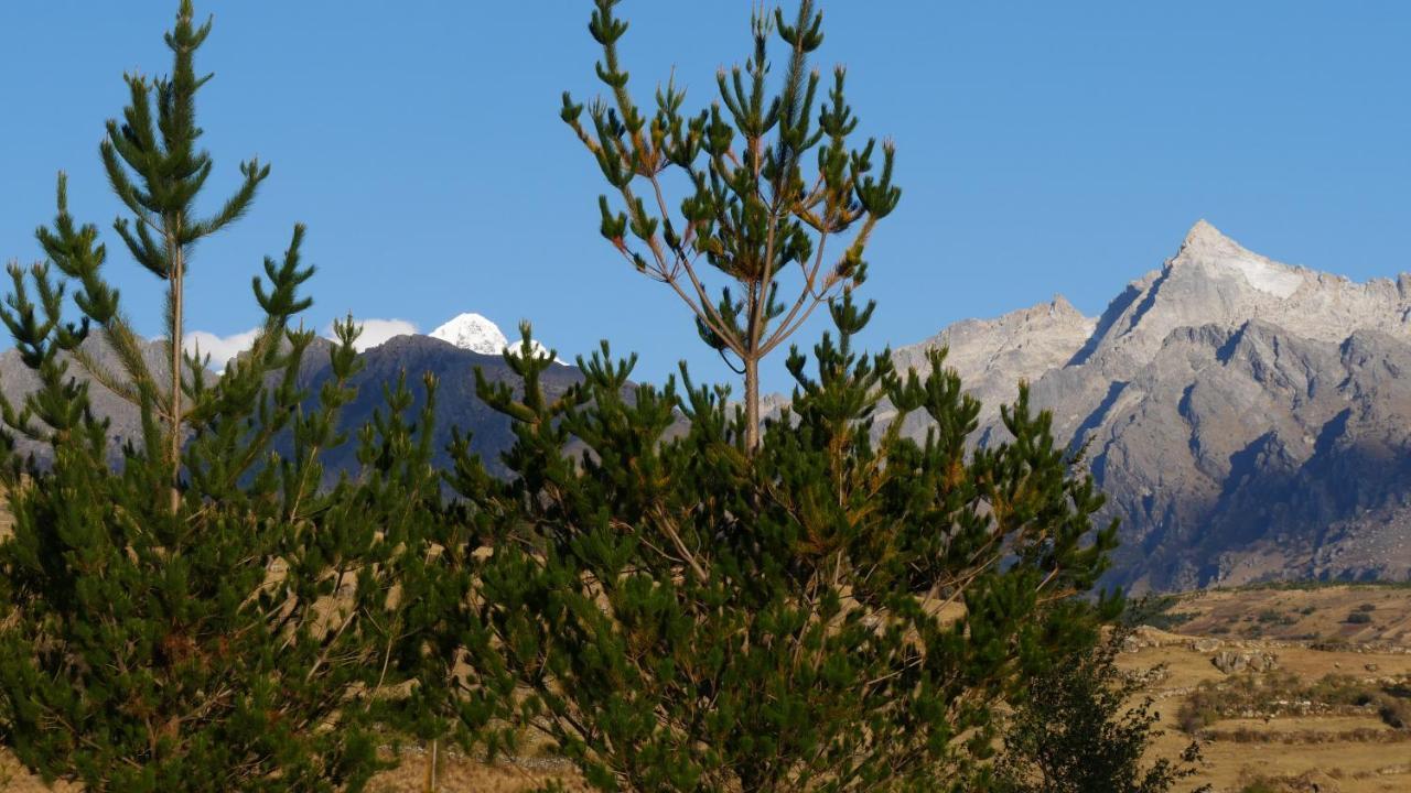 Domos Cordillera Blanca Villa Huaraz  Eksteriør billede