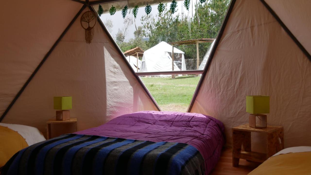 Domos Cordillera Blanca Villa Huaraz  Eksteriør billede
